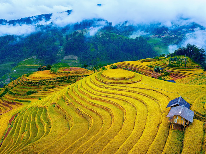 Dịch vụ xe ghép Hà Nội Mù Cang Chải giá rẻ nhất, đón trả tận nơi bằng xe điện Vinfast đời mới